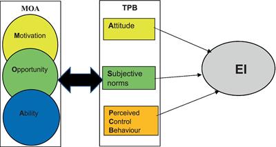 Entrepreneurial intention and the three stages of entrepreneurial action: a process approach